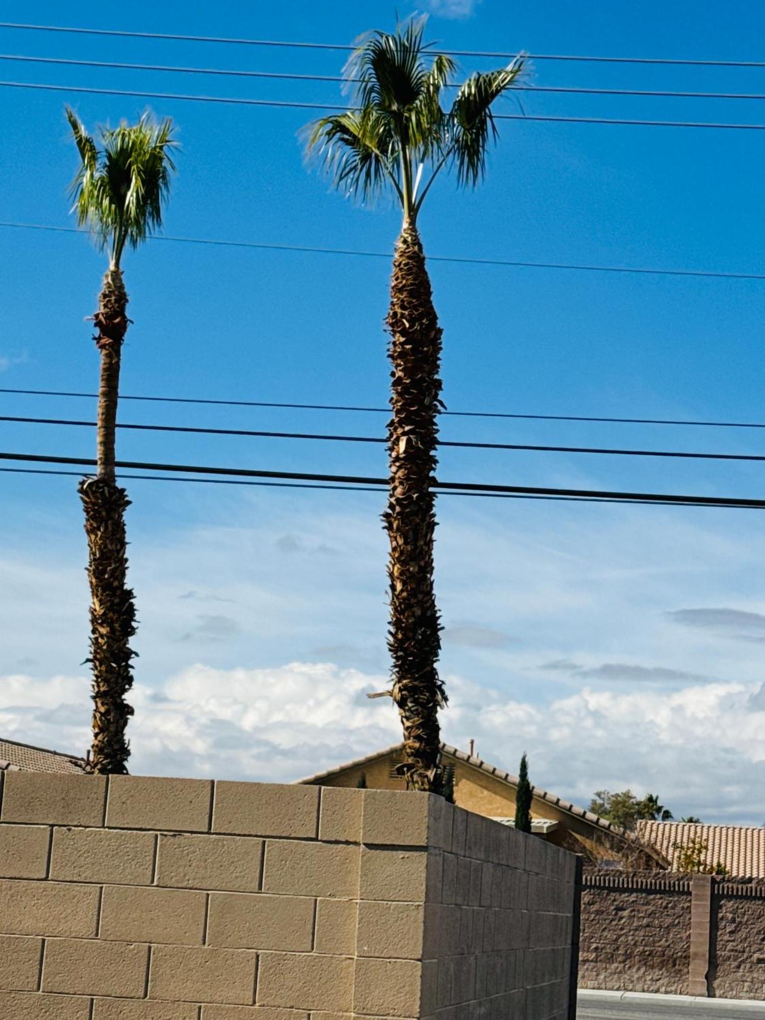 Paradise Las Vegas Eksteriør billede